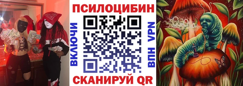 цена наркотик  Михайлов  Галлюциногенные грибы GOLDEN TEACHER 
